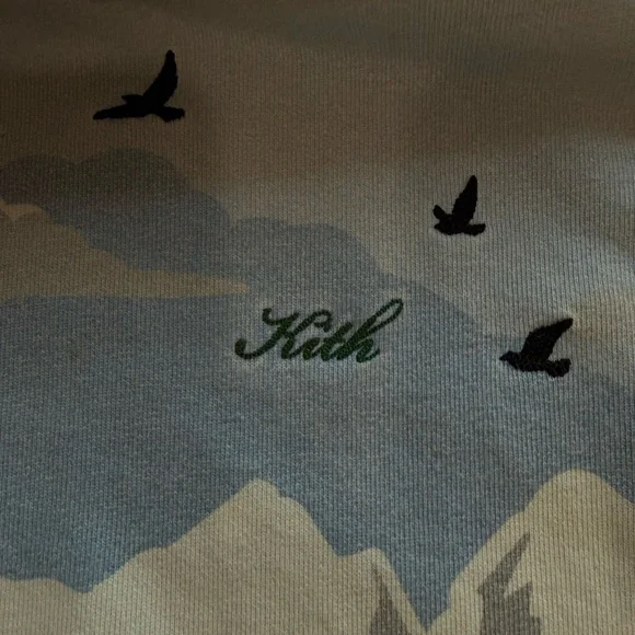 Kith Light Blue Hoodie - Picture 2 of 6